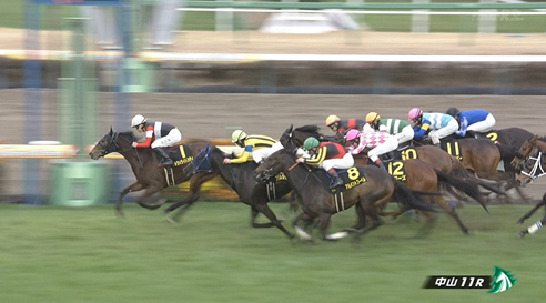 【アネモネS】トワイライトシティ&横山武史騎手がキタ━━━━(゚∀゚)━━━━!!