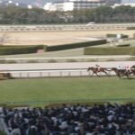 【阪神大賞典】サンライズアース&池添騎手がキタ━━━━(゚∀゚)━━━━!!