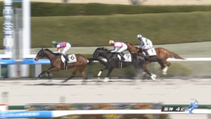 【土曜阪神4R】秋山真一郎厩舎初勝利ｷﾀ━━━━(ﾟ∀ﾟ)━━━━!!