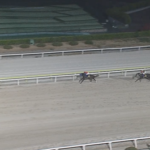 【京浜盃】ナチュラルライズ&横山武史騎手がキタ━━━━(゚∀゚)━━━━!!
