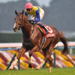 G1勝てると思ってた競走馬