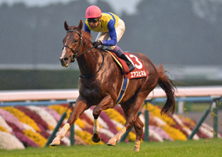 G1勝てると思ってた競走馬