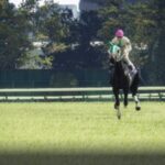 あと一週間でウイニングポスト10 2025発売だが