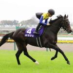 ポタジェ(初ダート川崎記念10着)次走はかしわ記念