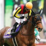 ジェンティルドンナはもっとリスペクトされるべき