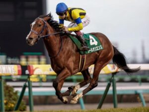 ソールオリエンス（11番人気10着）←こいつ
