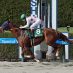 【アンタレスS】1番人気ミッキーファイトが直線抜け出して快勝!ヤマニンウルスは7着