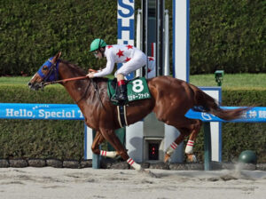 【アンタレスS】1番人気ミッキーファイトが直線抜け出して快勝！ヤマニンウルスは7着