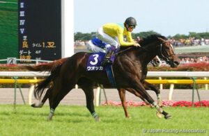 今まで微妙に間違えて覚えてた馬名