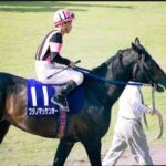 競馬ファン知名度80%前後の競走馬