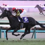 【競馬予想】[5]第85回皐月賞(GⅠ) /2025