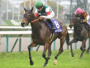 レイパパレ(6-0-0-0)無敗で大阪杯制覇←一体この先どうなっちゃうんだ～！！？？