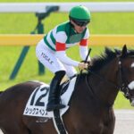 シックスペンス&ステレンボッシュ弱すぎワラタ