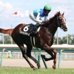 アドマイヤマーズが初年度からクラシックの勝ち馬を出したってのに全く触れられてない件