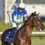 2024年朝日杯組ってレベル高いよな