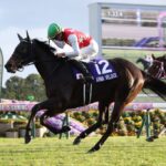 エンブロイダリーって歴代最弱の桜花賞馬の次走は未定w
