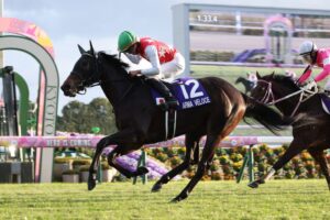 エンブロイダリーって歴代最弱の桜花賞馬の次走は未定w