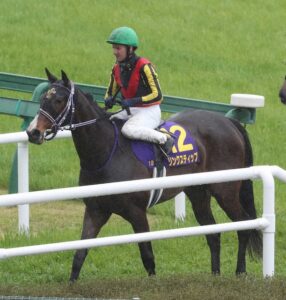 リンクスティップ地味に強いwww