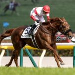 なぜ最近のダービー馬は強いのか