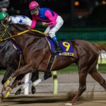 8歳馬メイショウハリオに完封されるダート界www