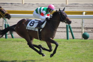 絶対にG1勝てると思ってた競走馬