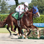 【競馬予想】第30回アンタレスステークス(GⅢ) /2025