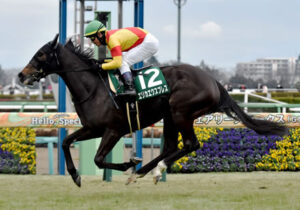 【桜花賞】競馬予想TV井内「エリカエクスプレスは消し」