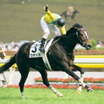 ウオッカといえば四位洋文騎手?武豊騎手?(岩田康誠騎手ルメール騎手)