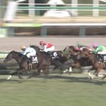 【競馬/アネモネS】ライジングリーズンのマクリ凄すぎワロタwwwww