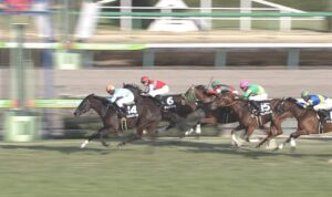 【競馬/アネモネS】ライジングリーズンのマクリ凄すぎワロタwwwww