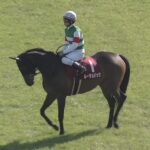 【競馬】ルージュバックの取り扱い説明書が分からん