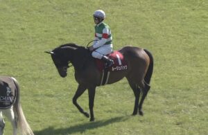 【競馬】ルージュバックの取り扱い説明書が分からん