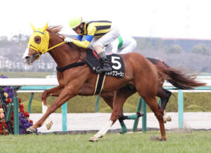 大阪杯6頭までしぼりました!