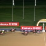 【ドバイワールドカップ2025】結果・動画/ヒットショーが鮮やかに差し切る