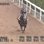 【桜花賞2025】追い切り/動きを見極め勝利に近づけ