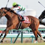 【競馬】世代最強と呼ばれたシャイニングレイ、阪神11R仁川S(ダート)で復活【初代ホープレスS馬】