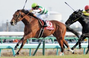 【競馬】世代最強と呼ばれたシャイニングレイ、阪神11R仁川S(ダート)で復活【初代ホープレスS馬】