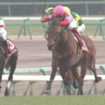 【競馬】カデナってまんまキズナだな