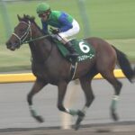 【競馬】ブレスジャーニー骨折 全治未定 春クラシック出走は困難に