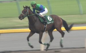 【競馬】ブレスジャーニー骨折　全治未定　春クラシック出走は困難に