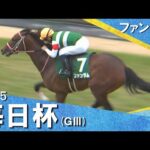 2025年 毎日杯 (GⅢ) ファンダム 実況:川島壮雄【カンテレ公式】