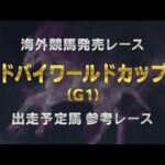 【参考レース】2025年 ドバイワールドカップ|JRA公式