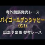 【参考レース】2025年 ドバイゴールデンシャヒーン|JRA公式