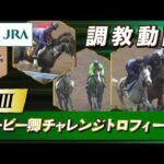 【調教動画】2025年 ダービー卿チャレンジトロフィー|JRA公式