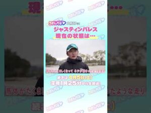 大阪杯S GⅠ　トレセン直撃取材！　＃競馬　#大阪杯　＃ジャスティンパレス　＃鮫島克駿