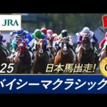 2025年 ドバイシーマクラシック(G1) | 第27回 | JRA公式
