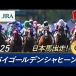 2025年 ドバイゴールデンシャヒーン(G1) | 第31回 | JRA公式