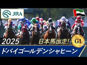 2025年 ドバイゴールデンシャヒーン（G1） | 第31回 | JRA公式