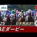 2025年 UAEダービー(G2) | JRA公式