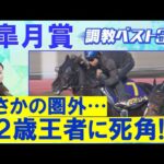 「極上の追い切り!」クロワデュノールに立ちはだかるのはサトノシャイニング、エリキング、ミュージアムマイル、それとも…?競馬エイト・高橋賢司トラックマンの調教解説<皐月賞(GⅠ)>